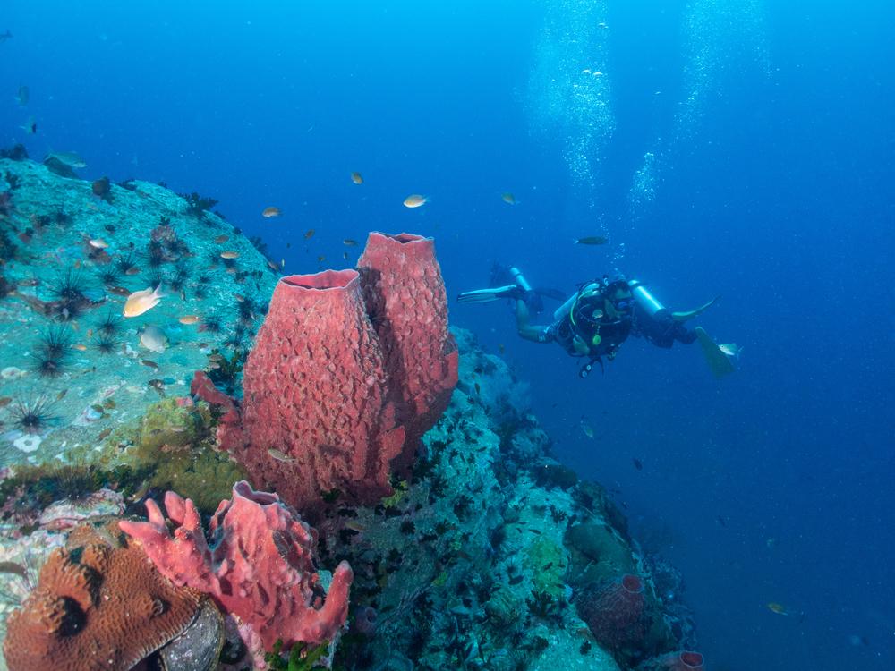Chumphon Pinnacle