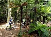 Cycle the Tairāwhiti Trails