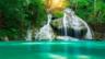 Banner img