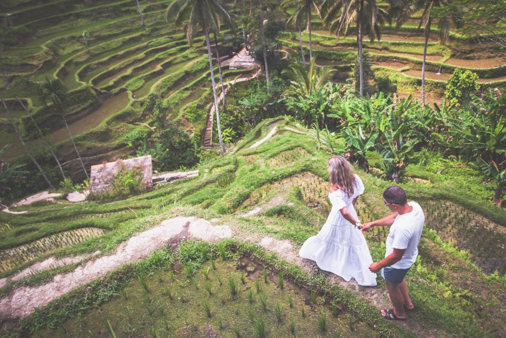 Jatiluwih Rice Terrace