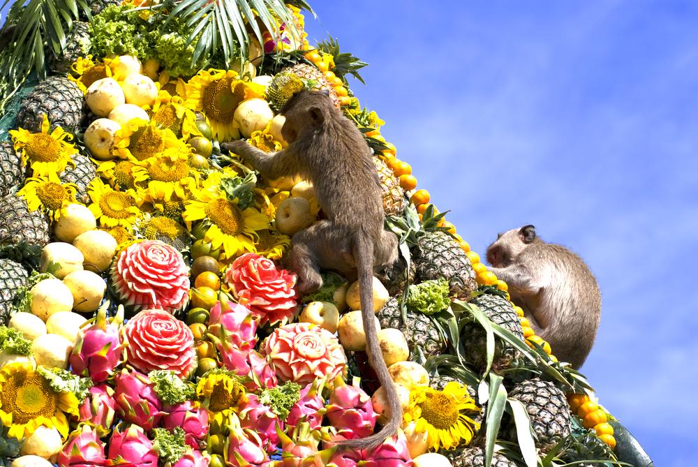 Lopburi Monkey Banquet