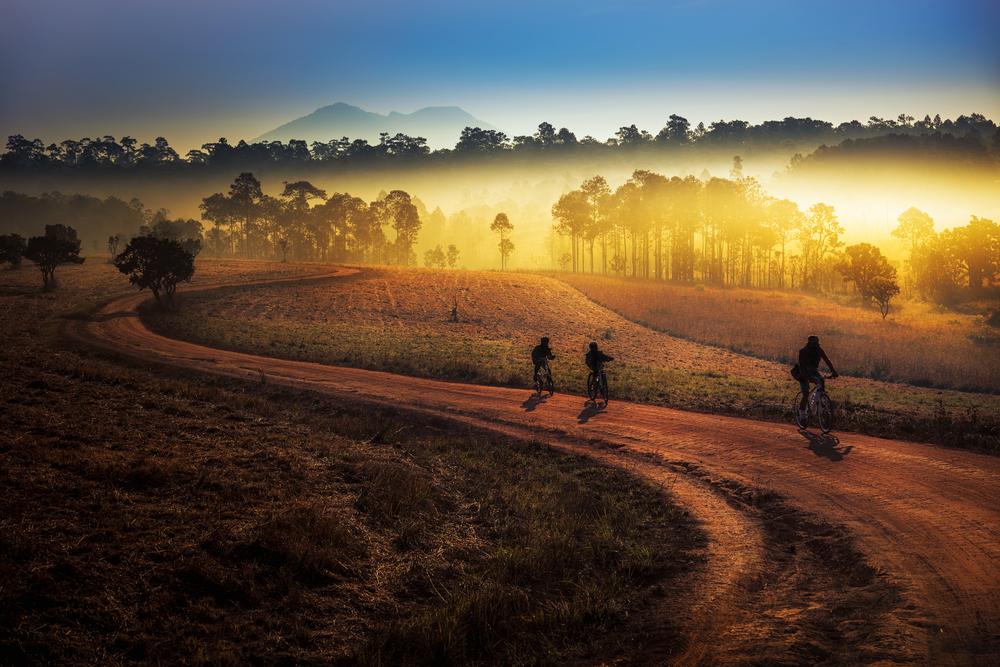 Mountain Biking