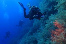 Scenic Mauritius Tour Package
