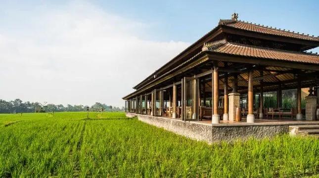 Dinner at Chedi Club 