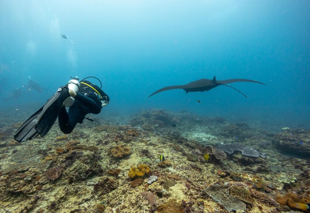 Scuba Diving