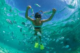 Exciting Mauritius With Catamaran Cruise