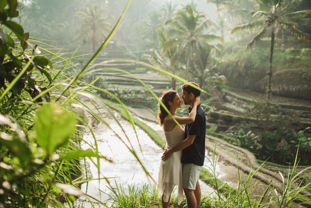 Dine in the Middle of Tegallalang Rice Terraces