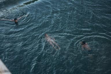 Swim at the local pools
