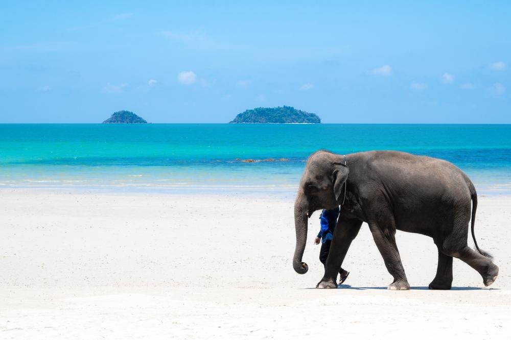 Koh Chang Beach
