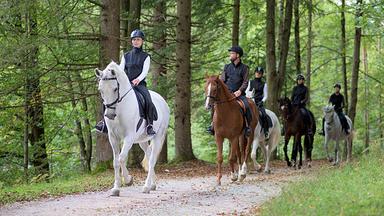 Go horseback riding