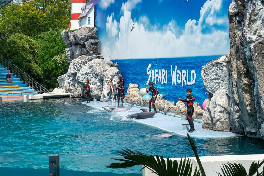 Explore the Stunning Safari World Zoo in Bangkok