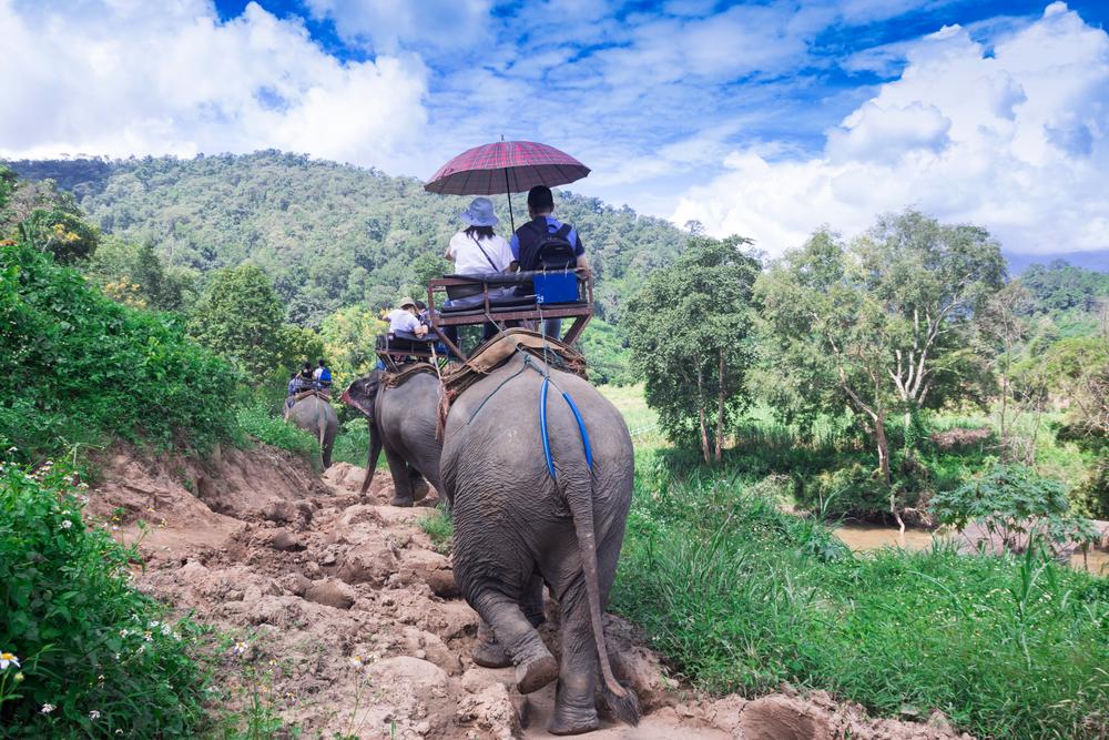 Chiang Mai