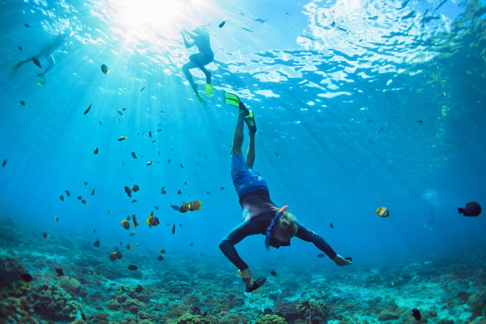  Snorkeling 