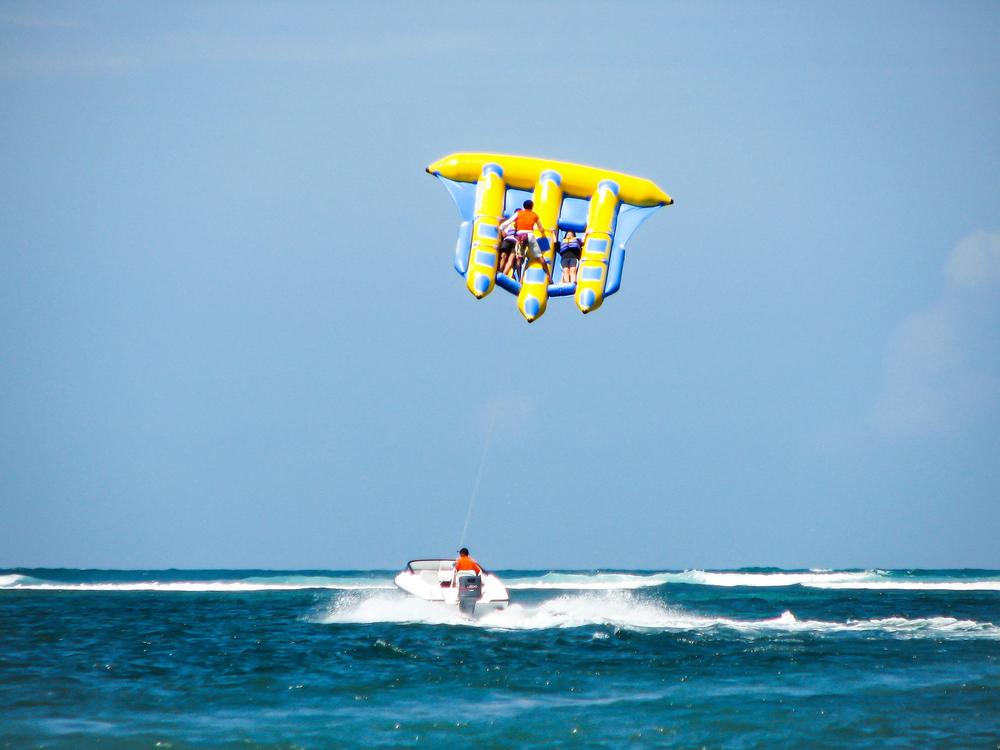 Flying fish 