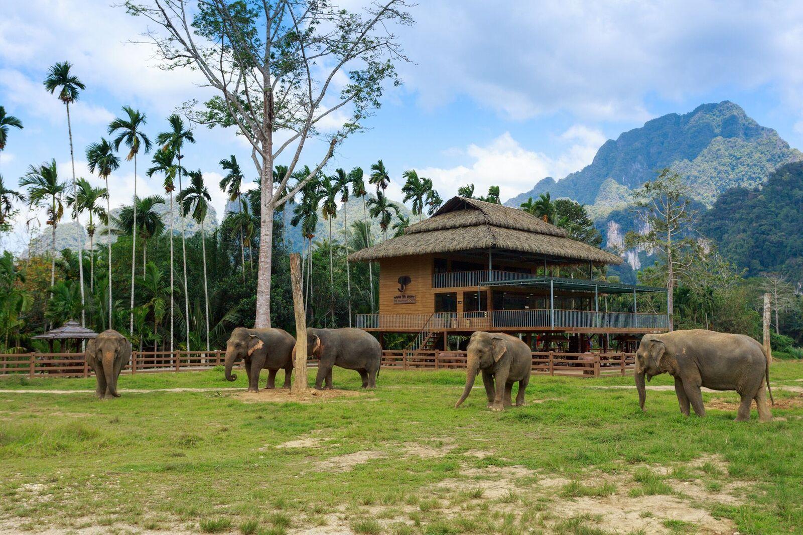 Luxury Safari-Style Camp Stay