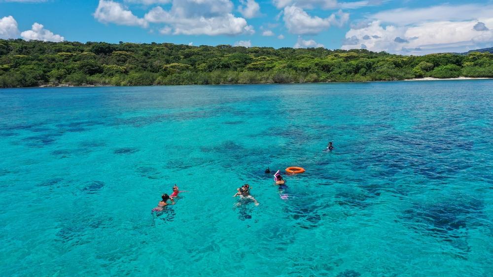 Menjangan Island