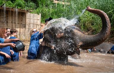 Full Day Damneun Saduak Floating Market + River Kwai + Elephant Bathing + Local Lunch With Private Transfers
