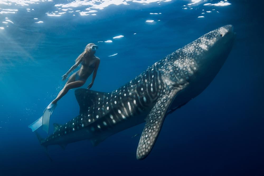 Freediving