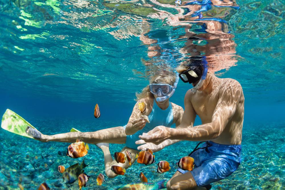 Snorkelling