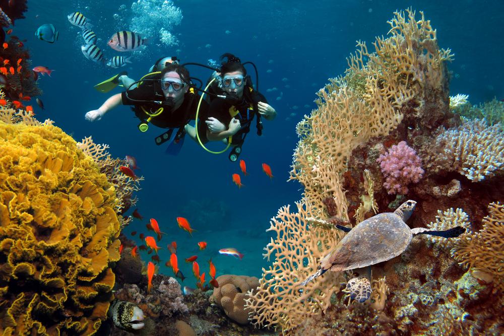 Scuba diving 