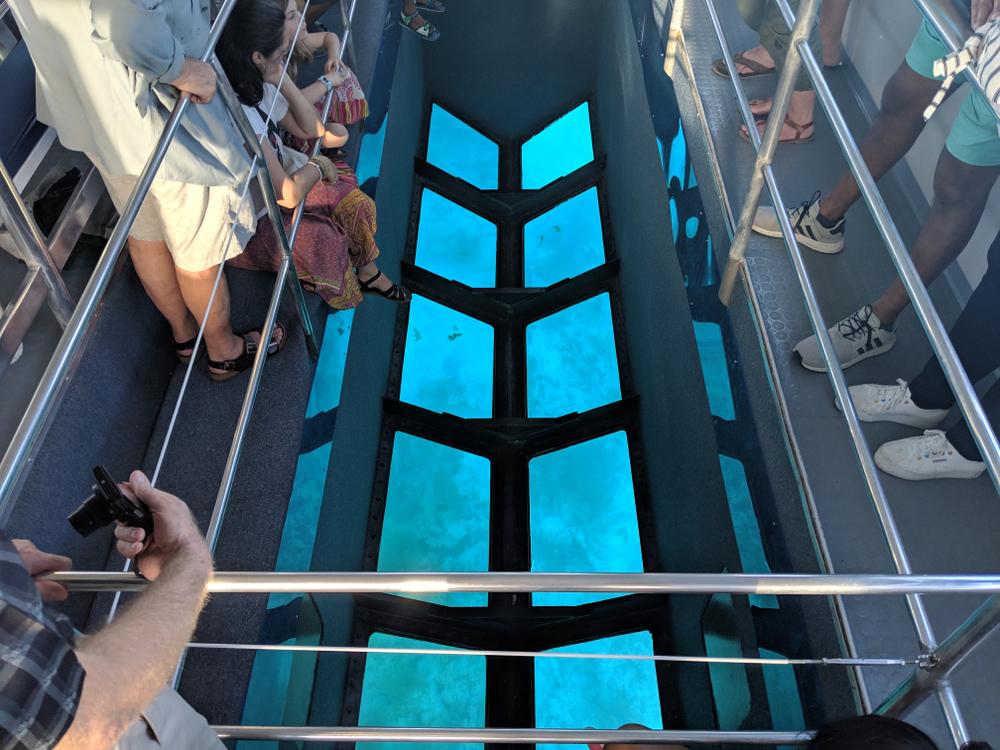 Glass-bottomed Boat Ride
