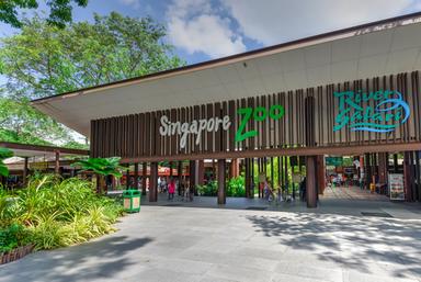 Singapore Zoo