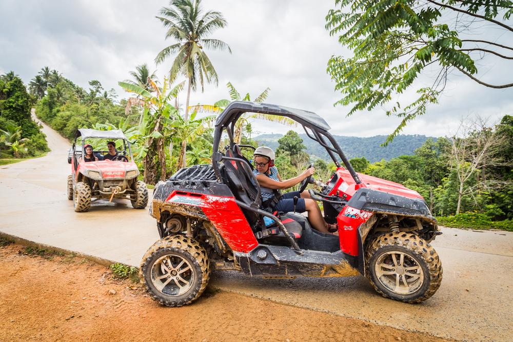 Jungle Buggies 